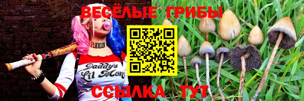 Псилоцибиновые грибы мухоморы Канск