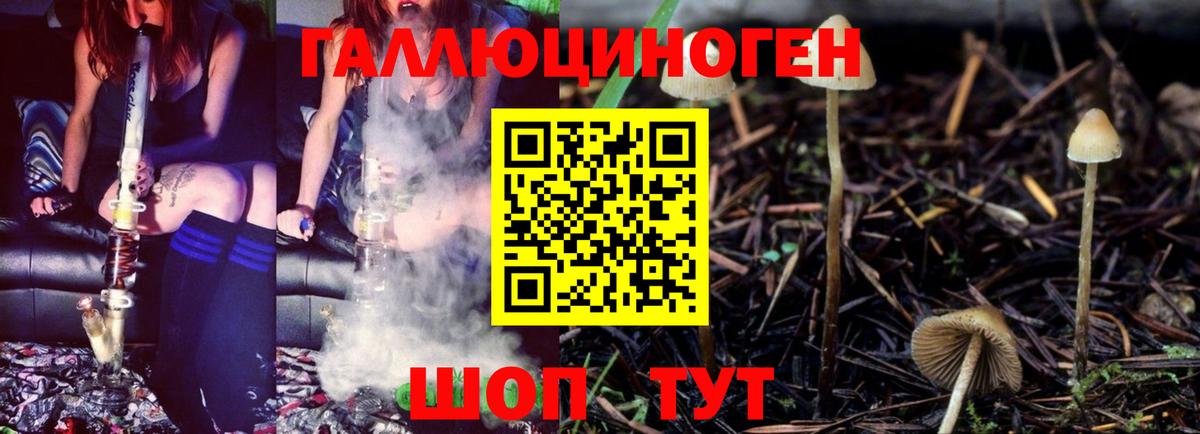 Псилоцибиновые грибы Cubensis  Вход с VPN  Псилоцибиновые грибы Psilocybine cubensis  Канск 